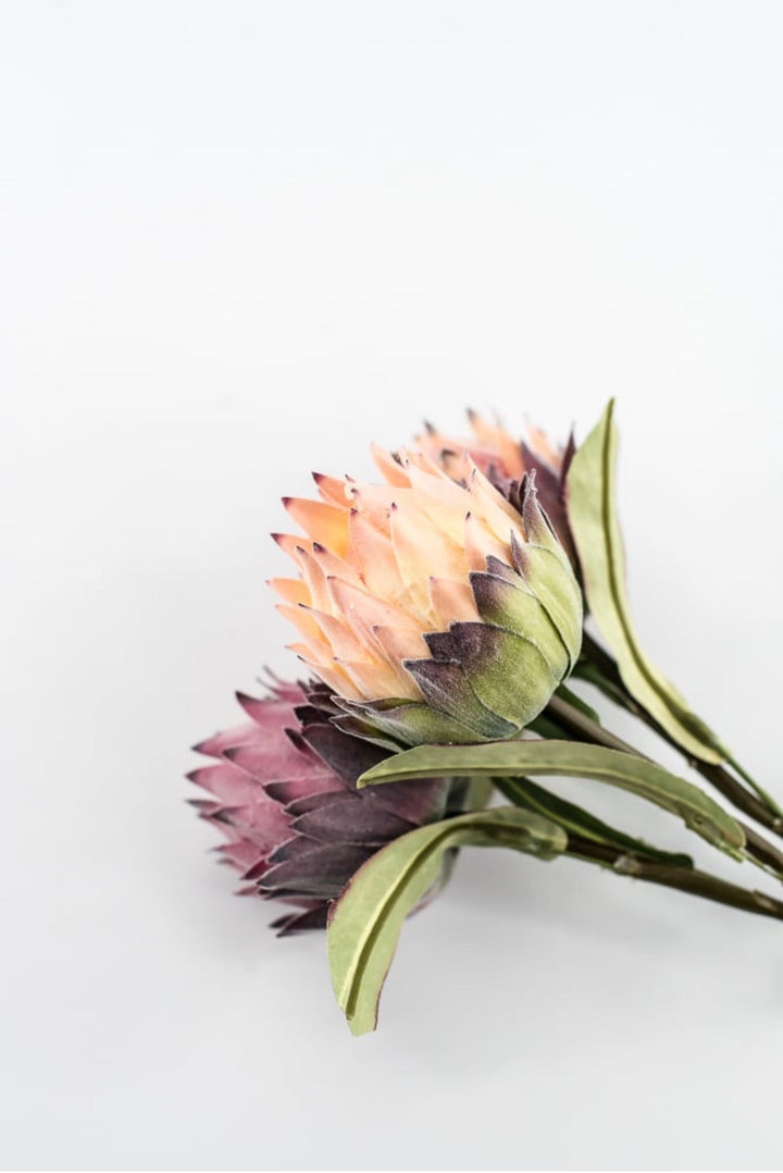 RAZ imports, Protea Bundle - 16" - Greenery MarketF4602064