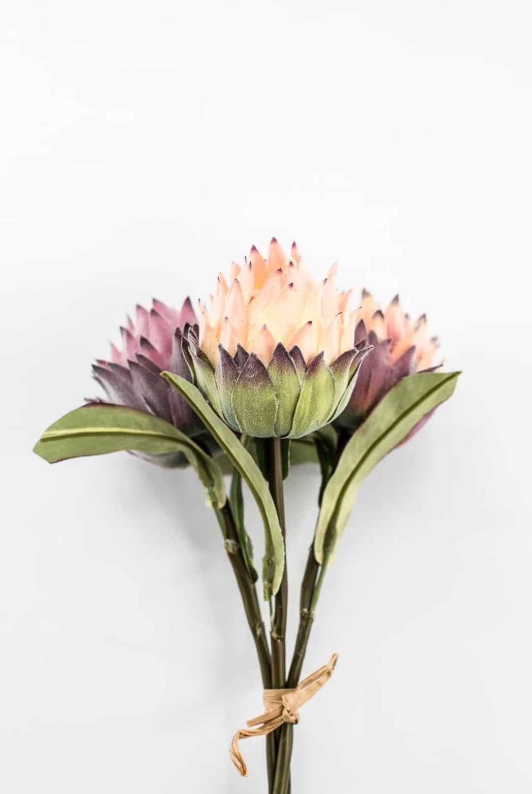 RAZ imports, Protea Bundle - 16" - Greenery MarketF4602064