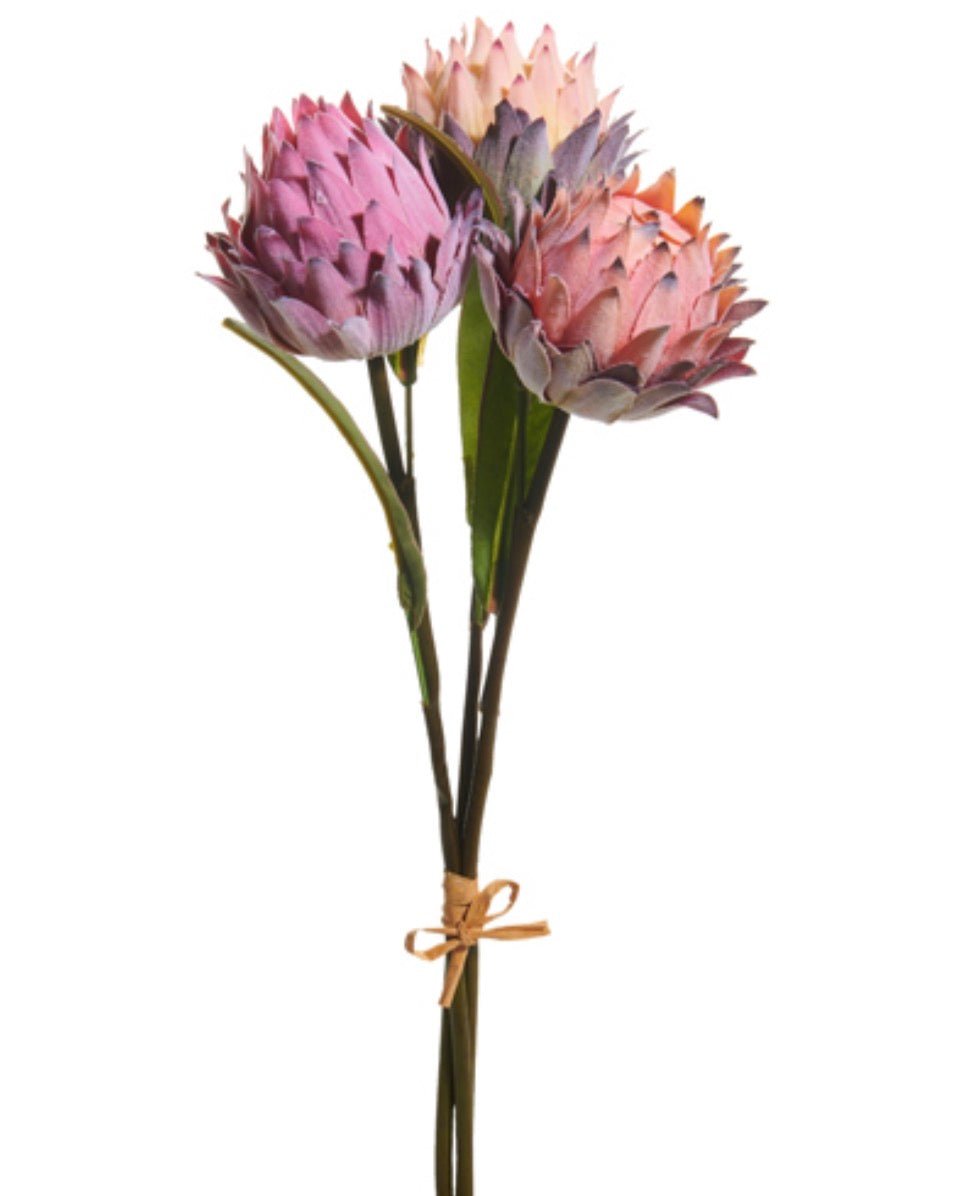 Raz imports Protea Bundle - 16" - Greenery MarketF4602064