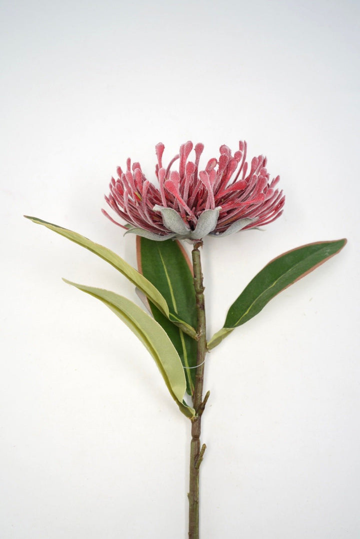 Raz Imports Protea Stem - 18" Choose Color - Greenery MarketF4602251 Dark Pink