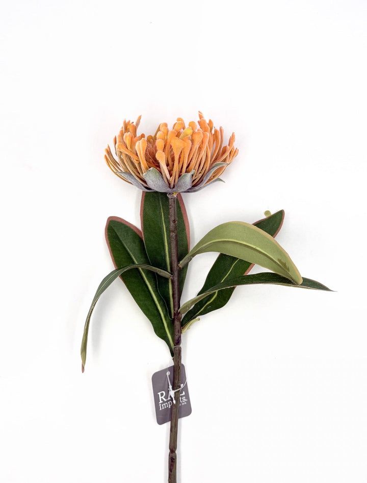 Raz Imports Protea Stem - 18" Choose Color - Greenery MarketF4602251 Dark Pink