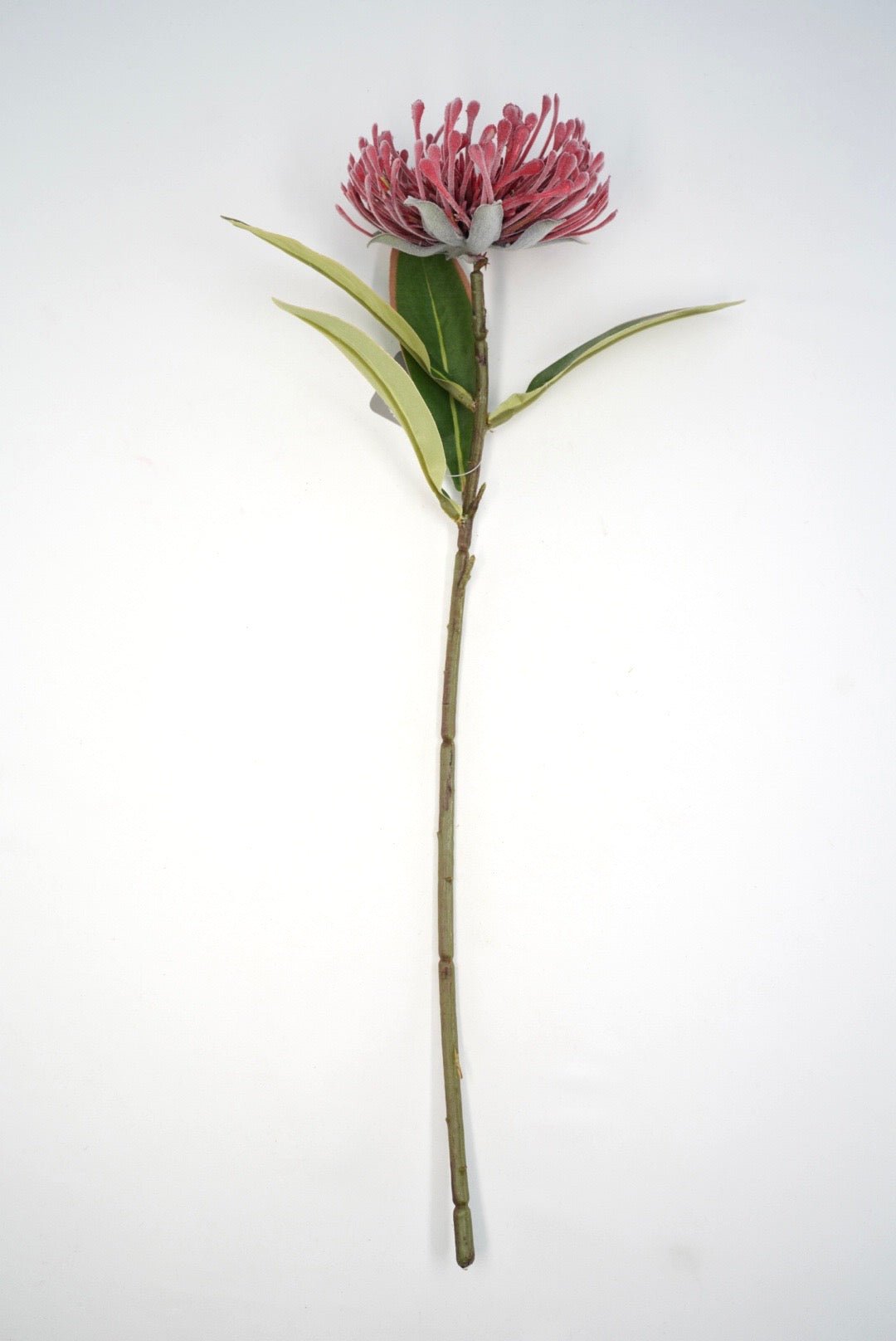 Raz Imports Protea Stem - 18" Choose Color - Greenery MarketF4602251 Dark Pink