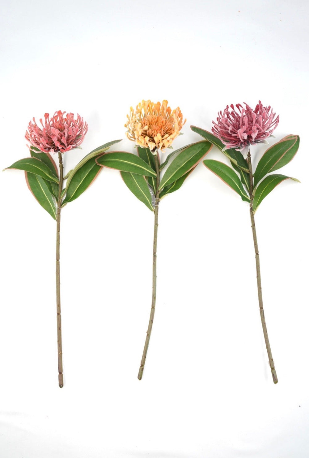 Raz Imports Protea Stem - 18" Choose Color - Greenery MarketF4602251 Light Pink
