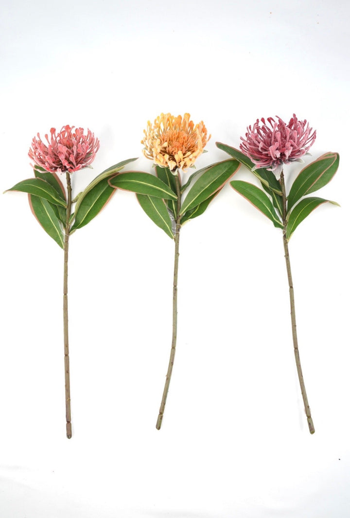 Raz Imports Protea Stem - 18" Choose Color - Greenery MarketF4602251 Light Pink