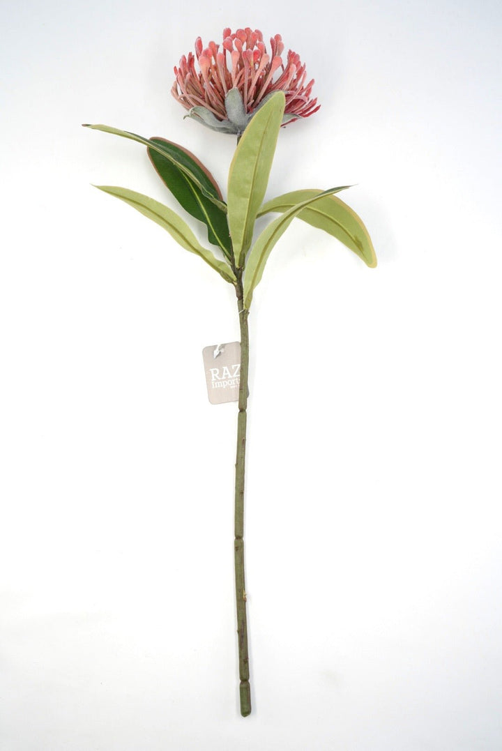 Raz Imports Protea Stem - 18" Choose Color - Greenery MarketF4602251 Light Pink
