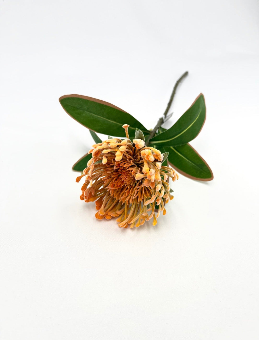 Raz Imports Protea Stem - 18" Choose Color - Greenery MarketF4602251 Light Pink