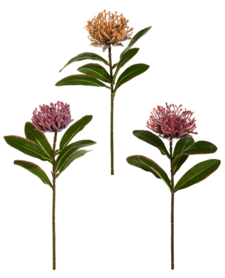 Raz Imports Protea Stem - 18" Choose Color - Greenery MarketF4602251 Light Pink