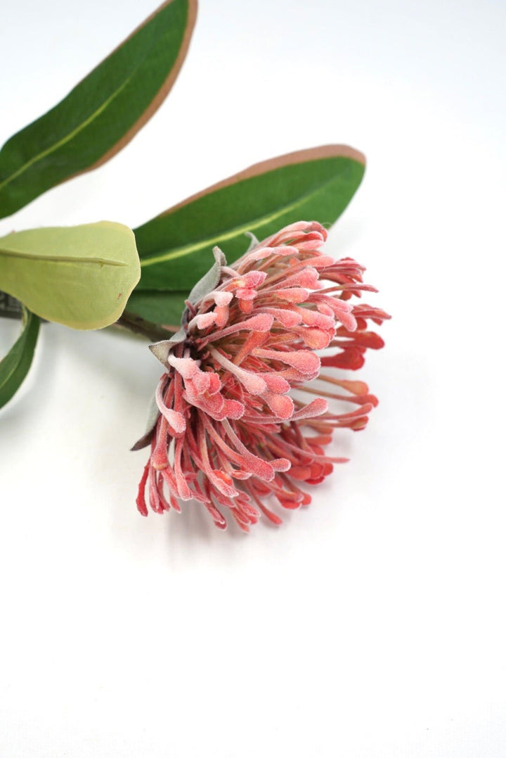 Raz Imports Protea Stem - 18" Choose Color - Greenery MarketF4602251 Light Pink