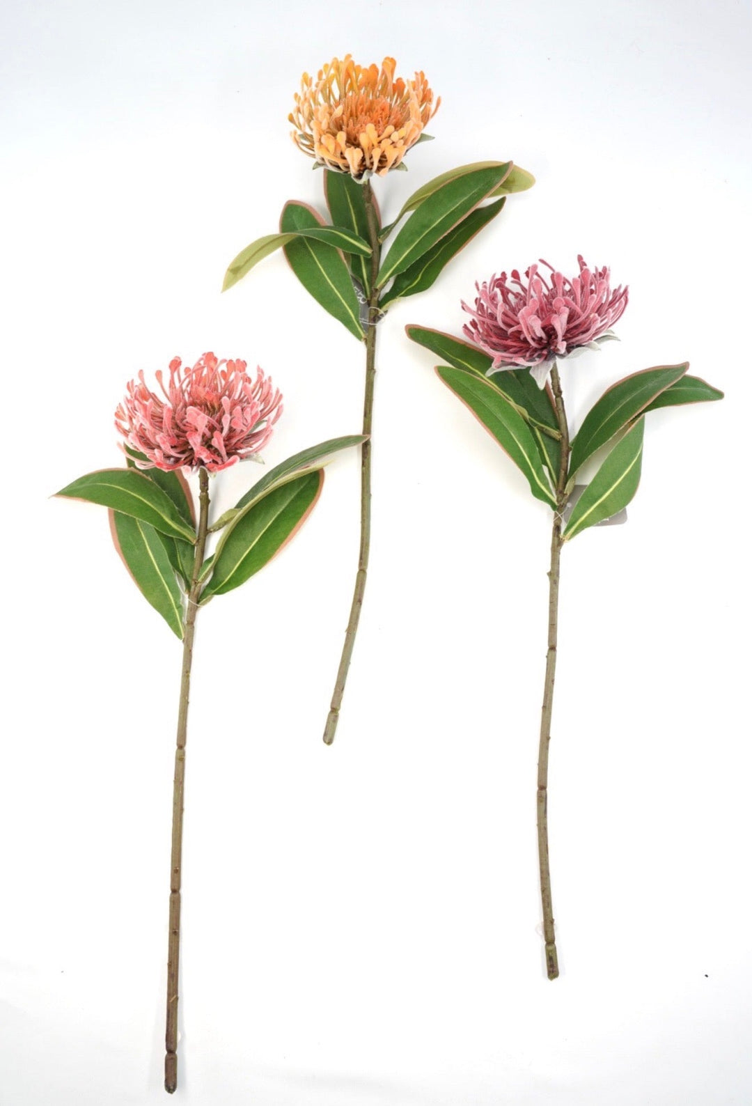 Raz Imports Protea Stem - 18" Choose Color - Greenery MarketF4602251 Light Pink