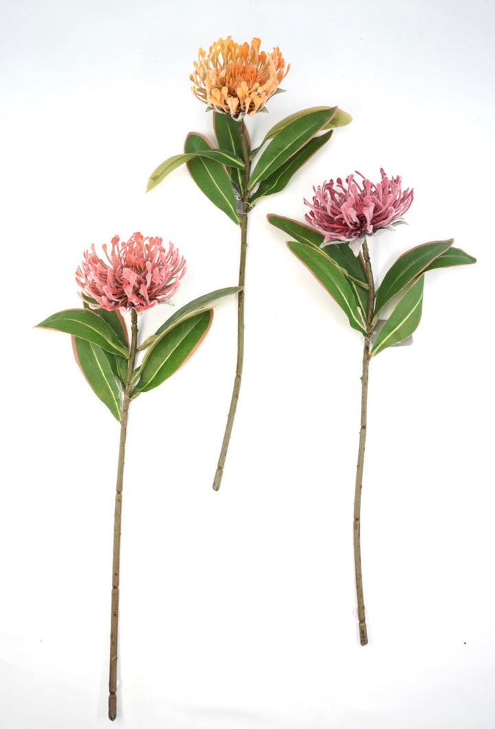 Raz Imports Protea Stem - 18" Choose Color - Greenery MarketF4602251 Light Pink