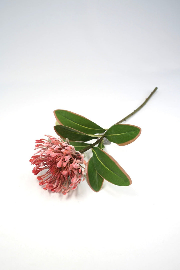 Raz Imports Protea Stem - 18" Choose Color - Greenery MarketF4602251 Light Pink