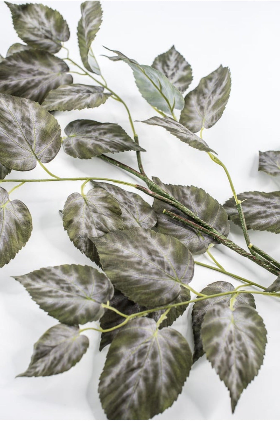 RAZ imports Variegated Ivy Leaves Spray - 41" - Greenery MarketF4541838