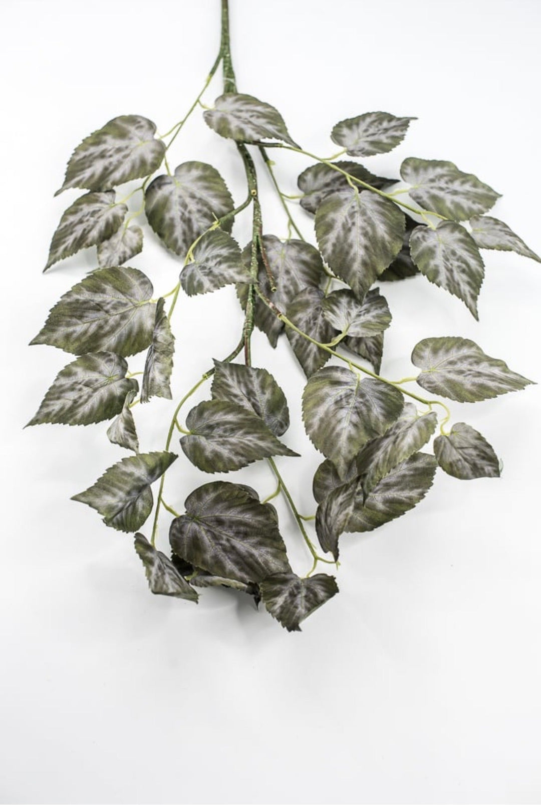 RAZ imports Variegated Ivy Leaves Spray - 41" - Greenery MarketF4541838