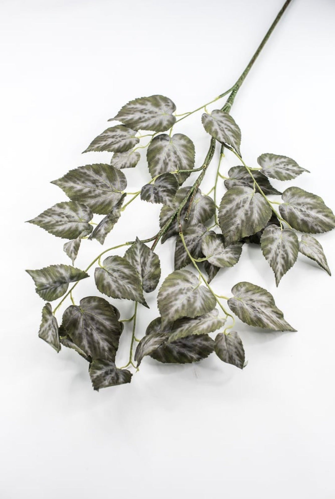 RAZ imports Variegated Ivy Leaves Spray - 41" - Greenery MarketF4541838