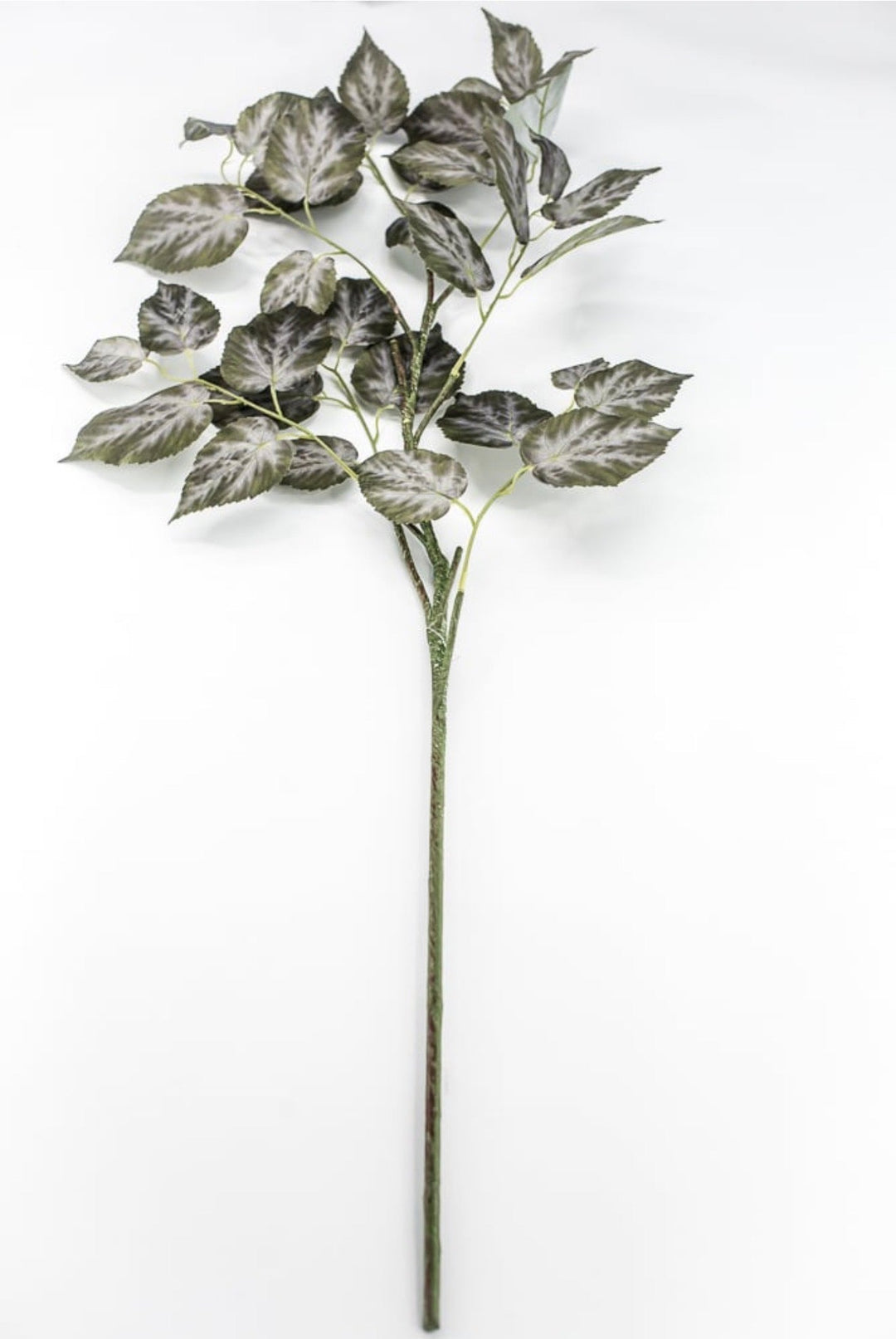 RAZ imports Variegated Ivy Leaves Spray - 41" - Greenery MarketF4541838