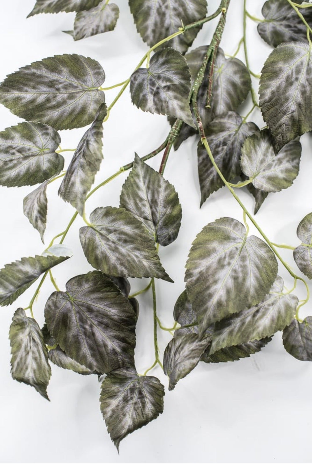 RAZ imports Variegated Ivy Leaves Spray - 41" - Greenery MarketF4541838
