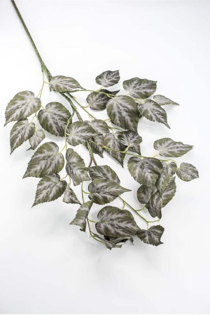 RAZ imports Variegated Ivy Leaves Spray - 41" - Greenery MarketF4541838