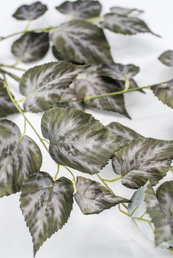 RAZ imports Variegated Ivy Leaves Spray - 41" - Greenery MarketF4541838