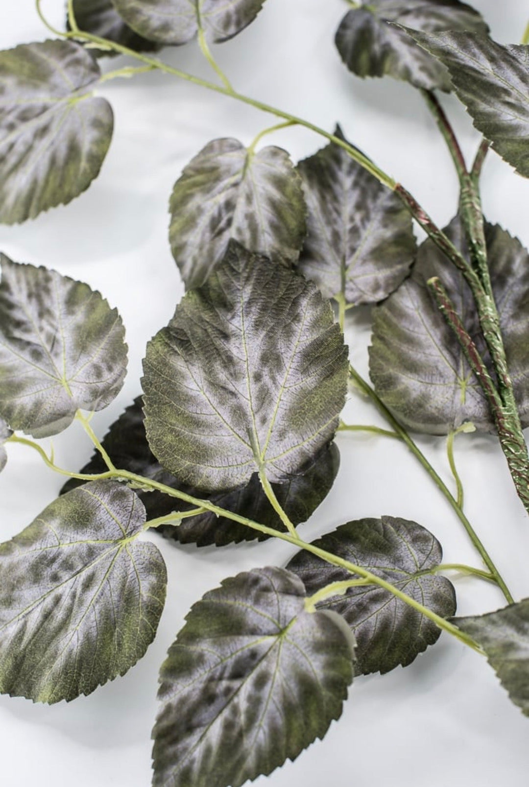 RAZ imports Variegated Ivy Leaves Spray - 41" - Greenery MarketF4541838