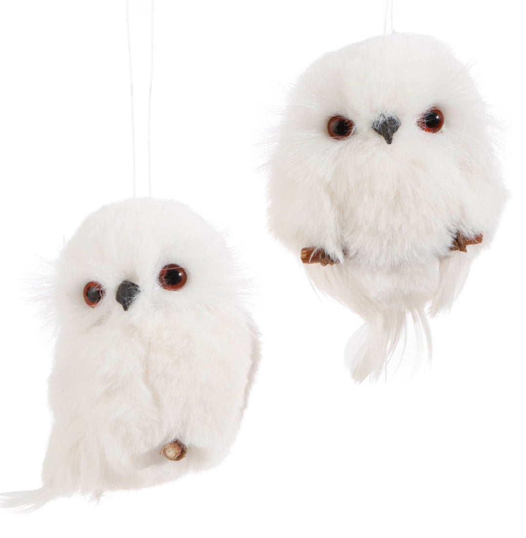 Raz winter Owls set of 2 - Greenery MarketHoliday Ornaments3753316