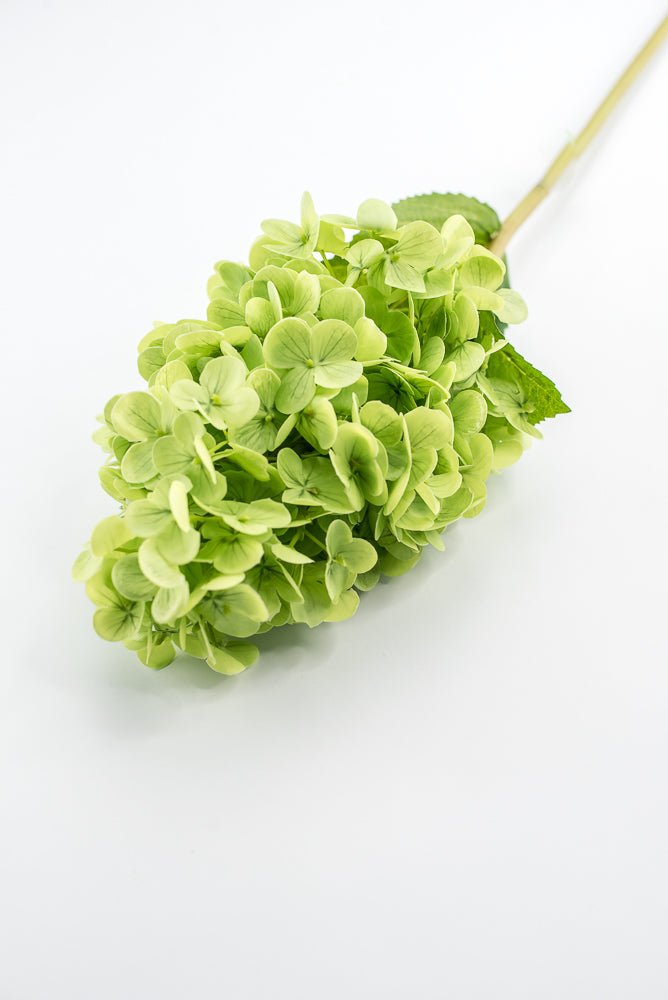 Real touch, Cone Hydrangea stem - green - Greenery MarketMTF24423 GRN