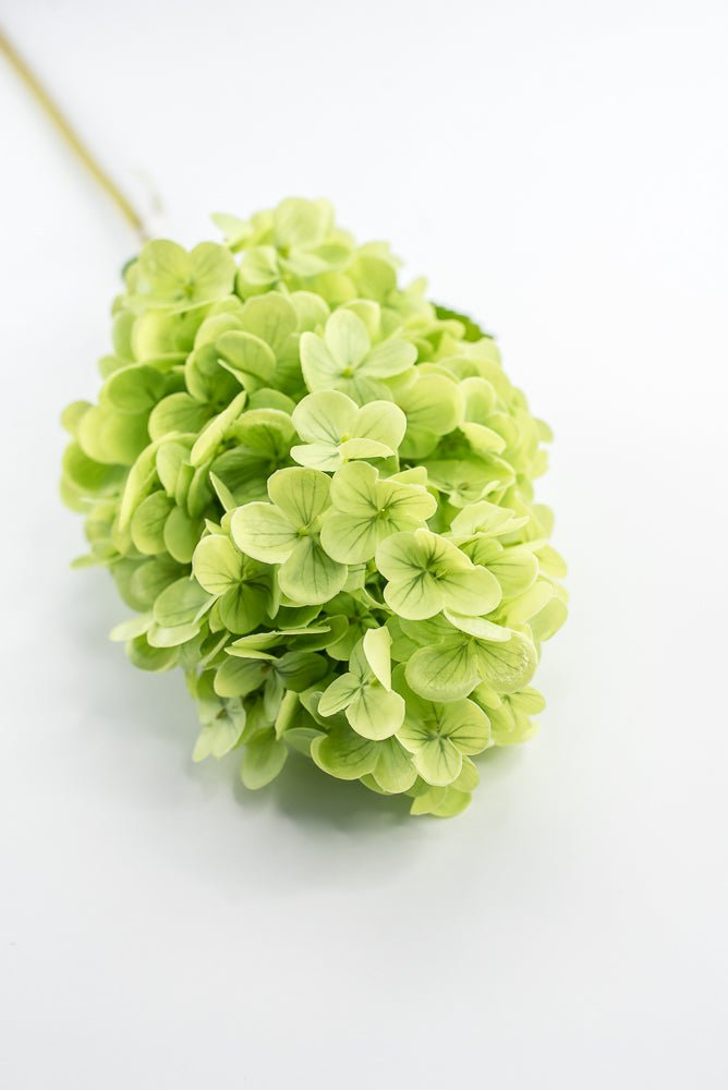 Real touch, Cone Hydrangea stem - green - Greenery MarketMTF24423 GRN