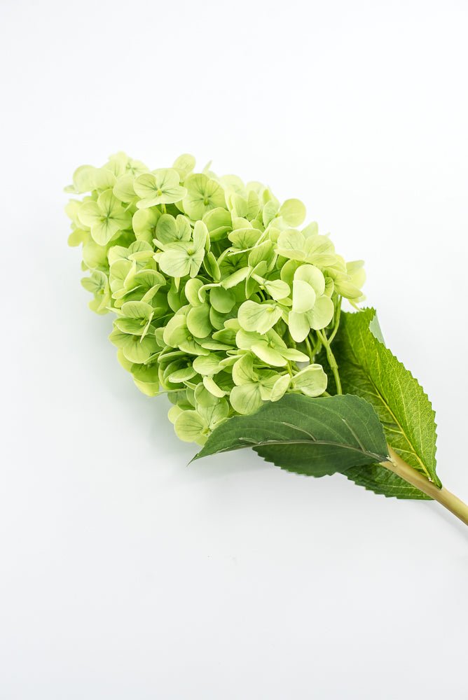 Real touch, Cone Hydrangea stem - green - Greenery MarketMTF24423 GRN