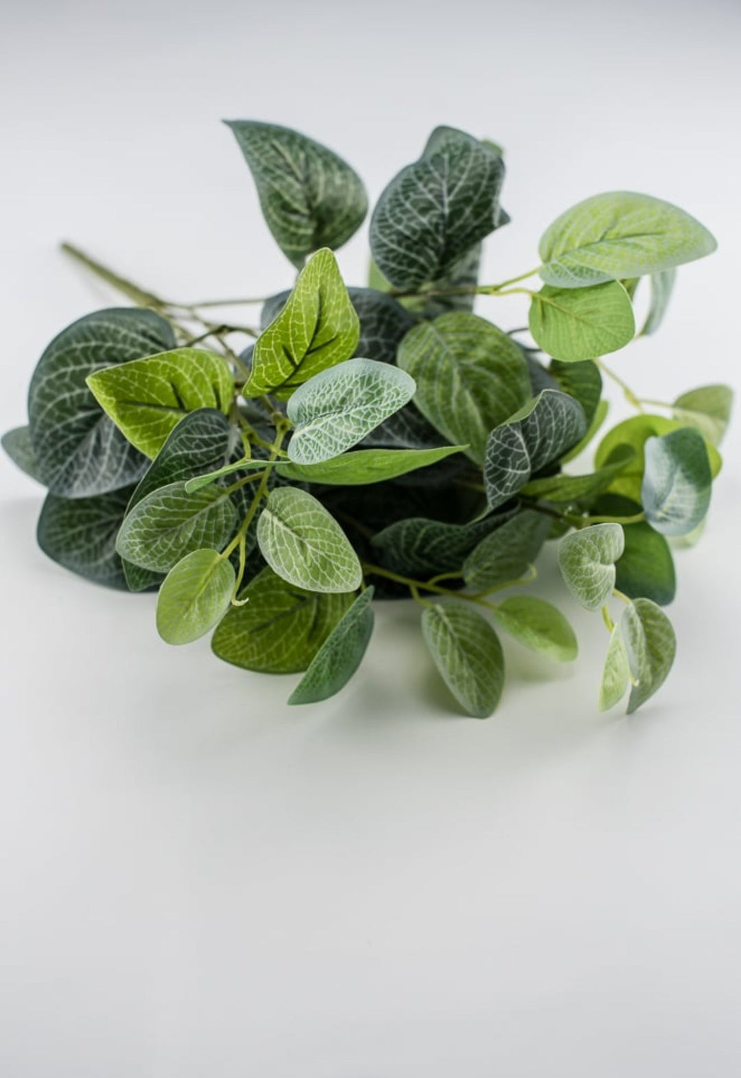 Real touch Fittonia leaves bush - Greenery MarketArtificial Flora25785