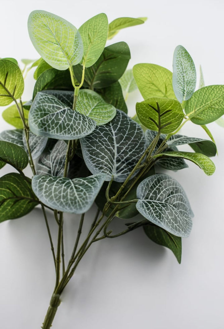 Real touch Fittonia leaves bush - Greenery MarketArtificial Flora25785