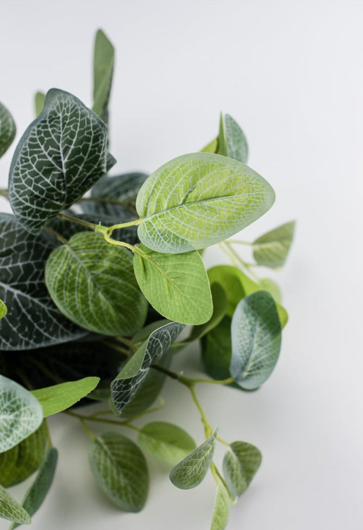 Real touch Fittonia leaves bush - Greenery MarketArtificial Flora25785