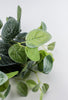 Real touch Fittonia leaves bush - Greenery MarketArtificial Flora25785