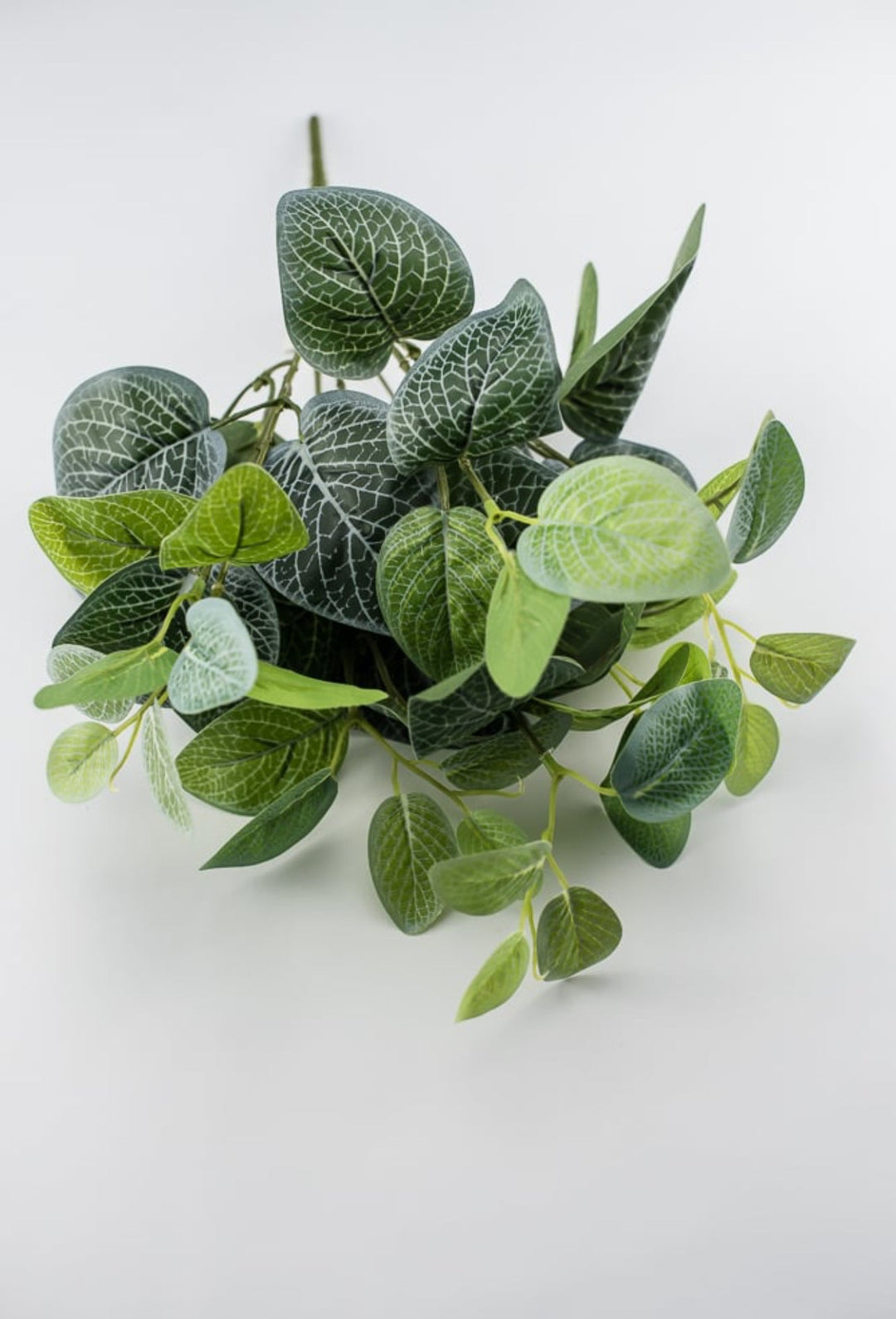 Real touch Fittonia leaves bush - Greenery MarketArtificial Flora25785