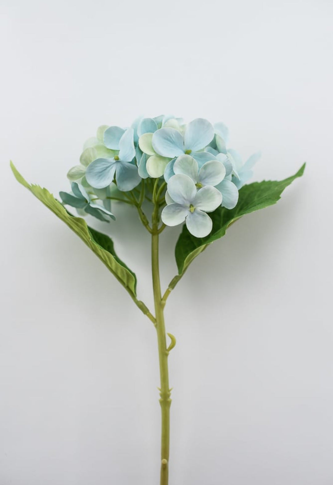 Real touch, Hydrangea stem - aqua - Greenery Market27600