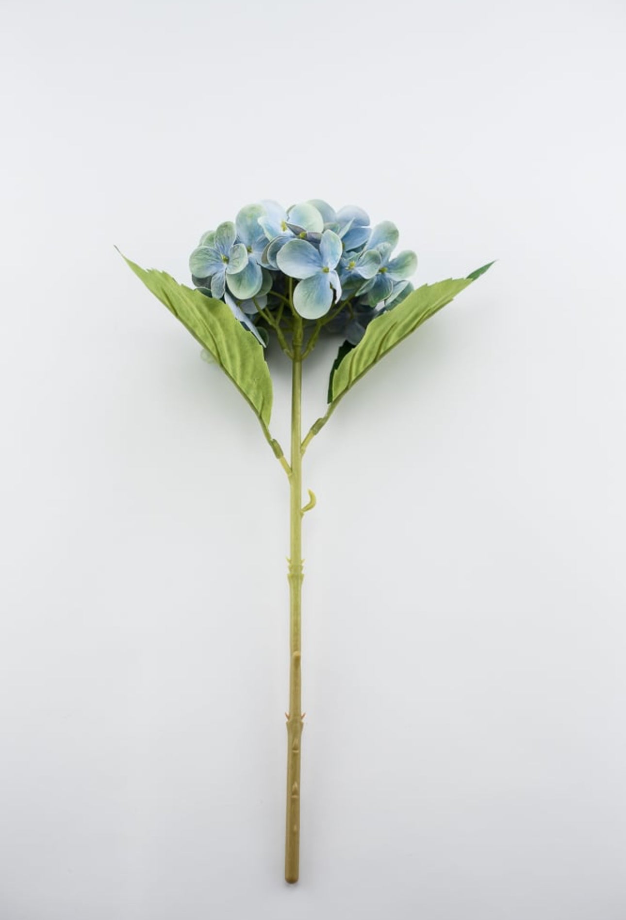 Real touch, Hydrangea stem turquoise Greenery Market