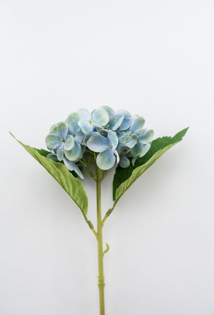 Real touch, Hydrangea stem - turquoise - Greenery Market27601