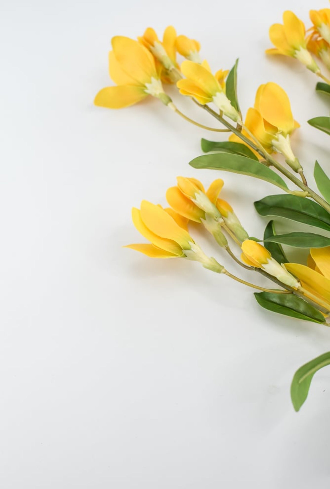 Real touch, Yellow freesia hybrid spray - Greenery Market