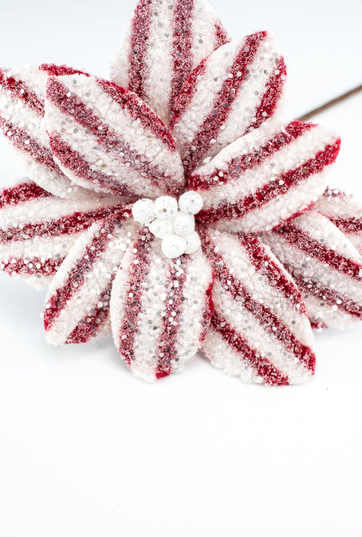 Red and white fleece poinsettia - Greenery MarketXS412376