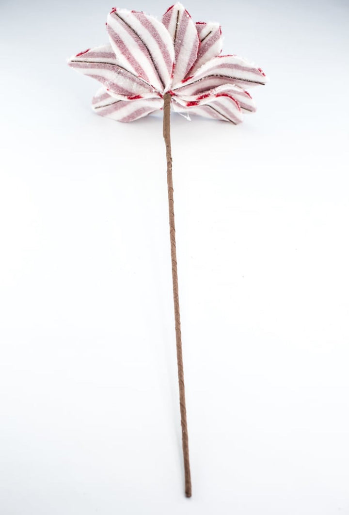 Red and white fleece poinsettia - Greenery MarketXS412376