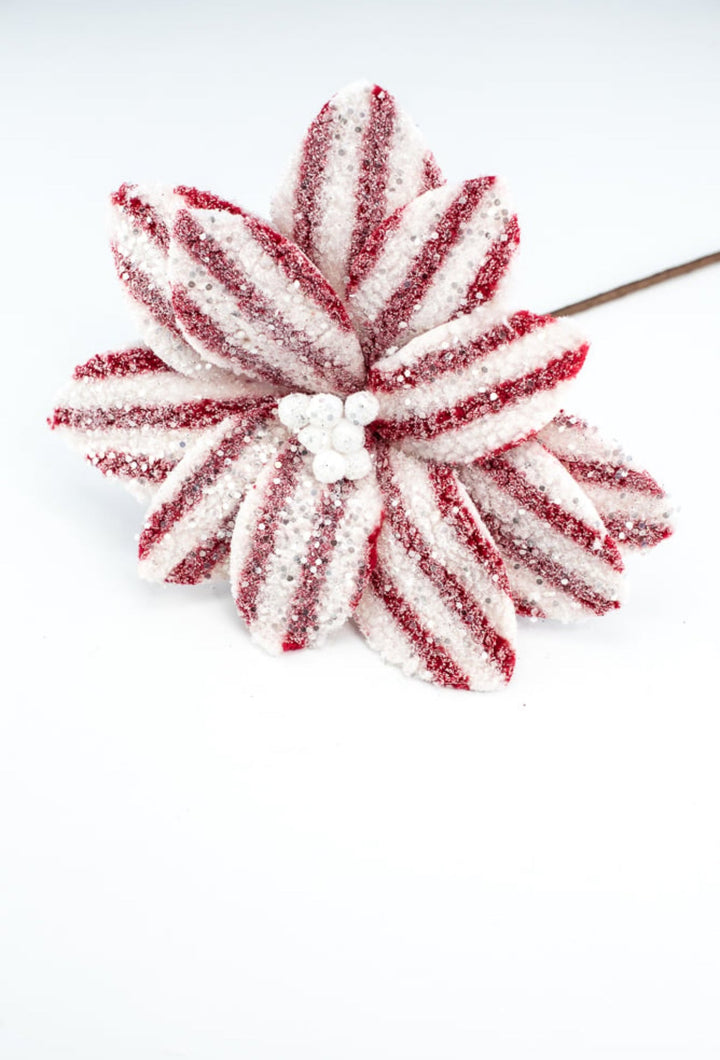 Red and white fleece poinsettia - Greenery MarketXS412376