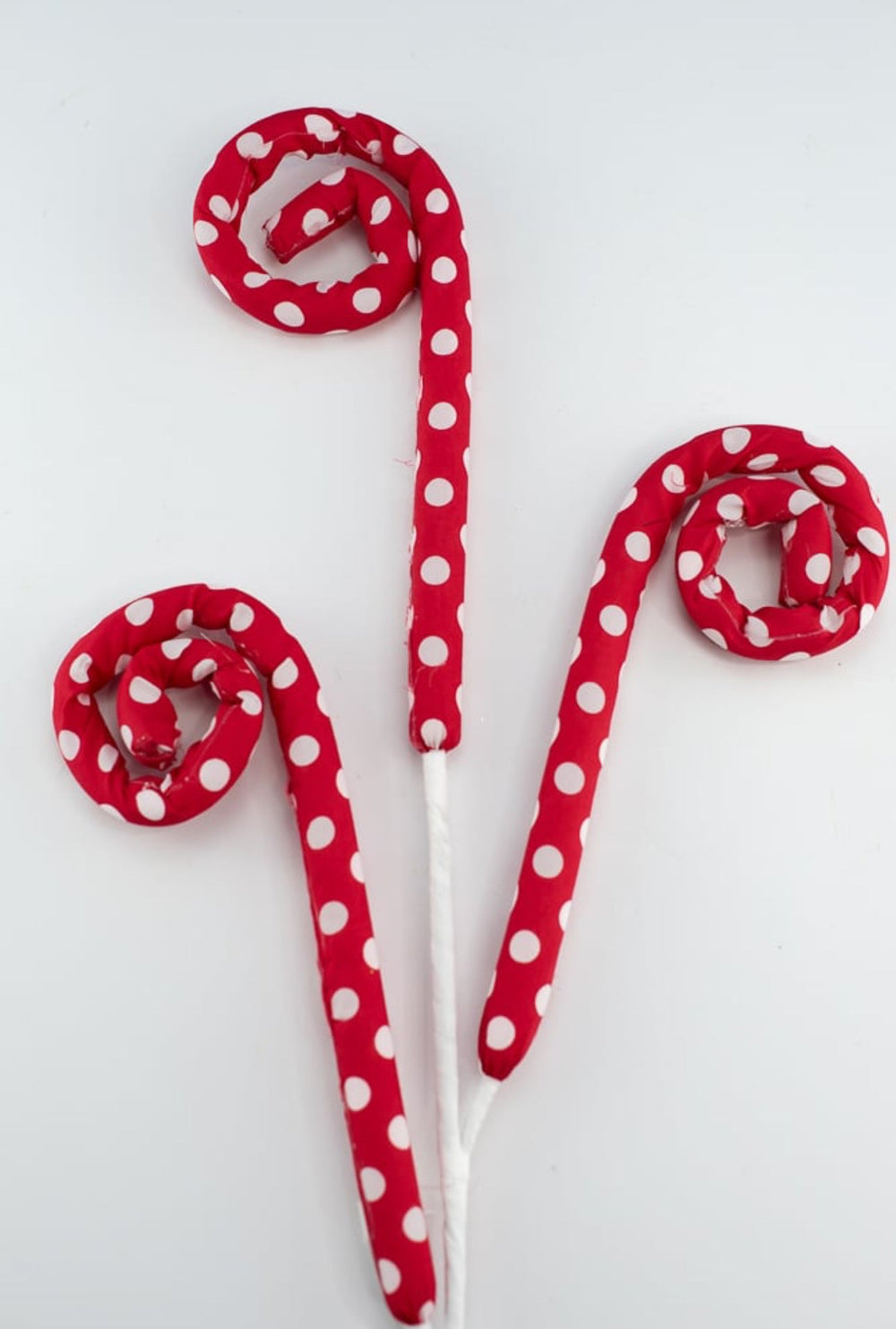 Red and white polkadot curly spray - Greenery MarketPicksMN023539