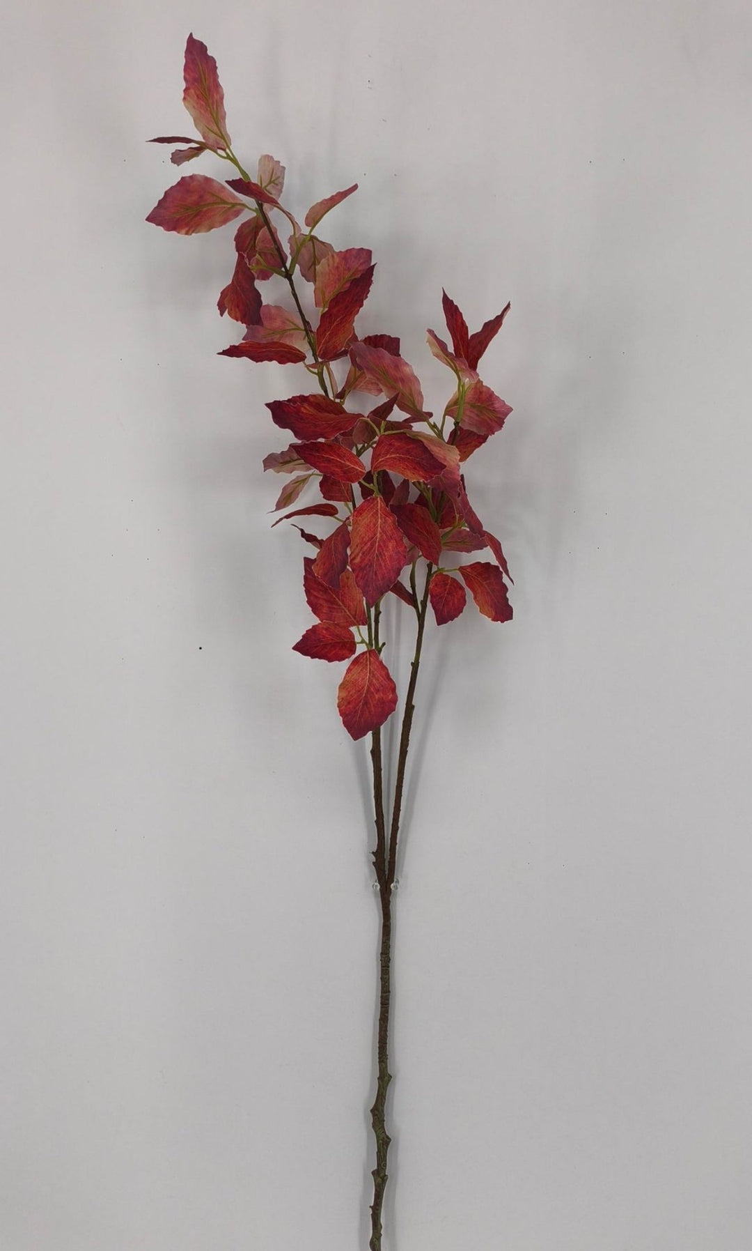 Red Beech Leaves Spray - Greenery Market85142 - RD