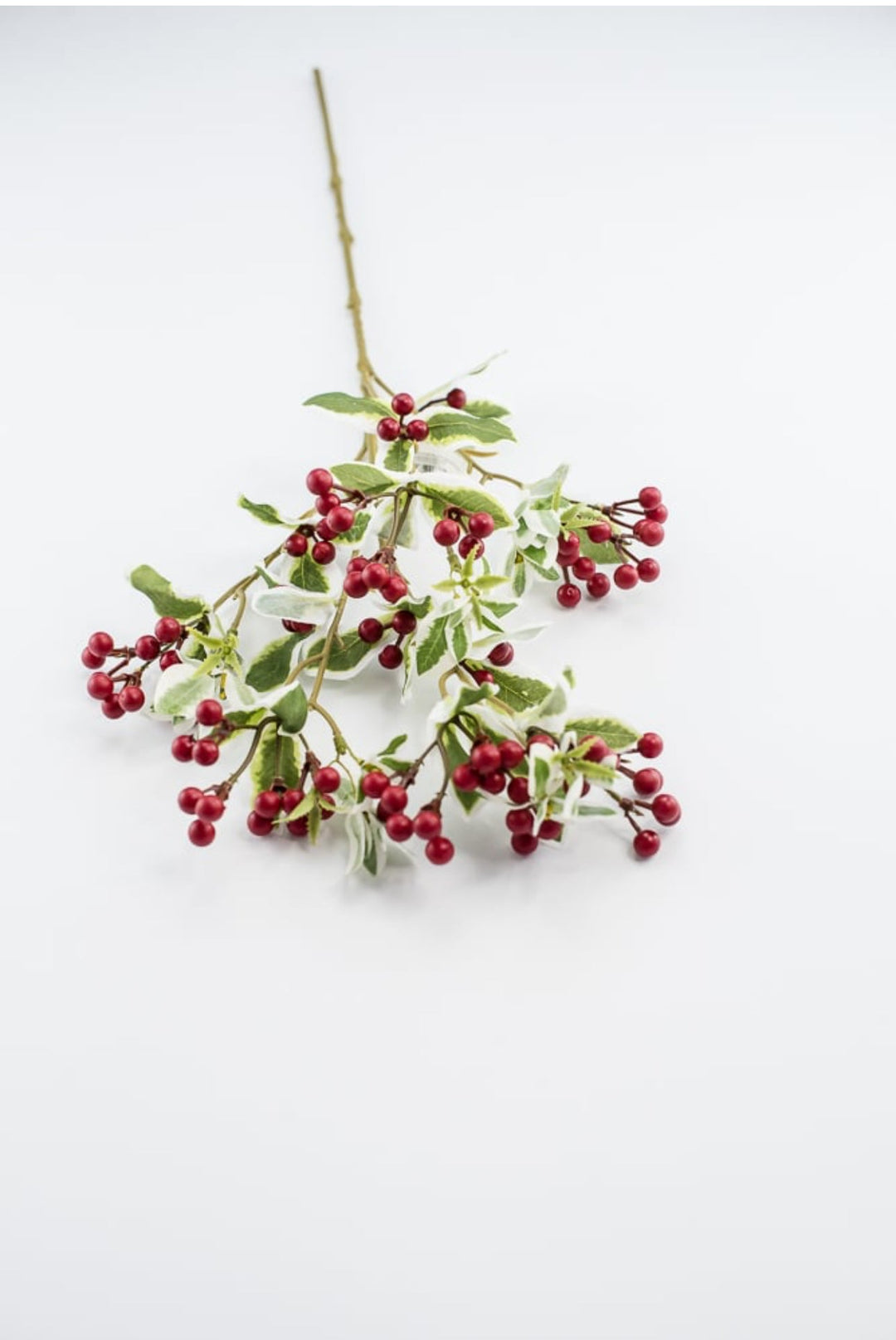 Red berry and leaves spray - Greenery MarketXB624