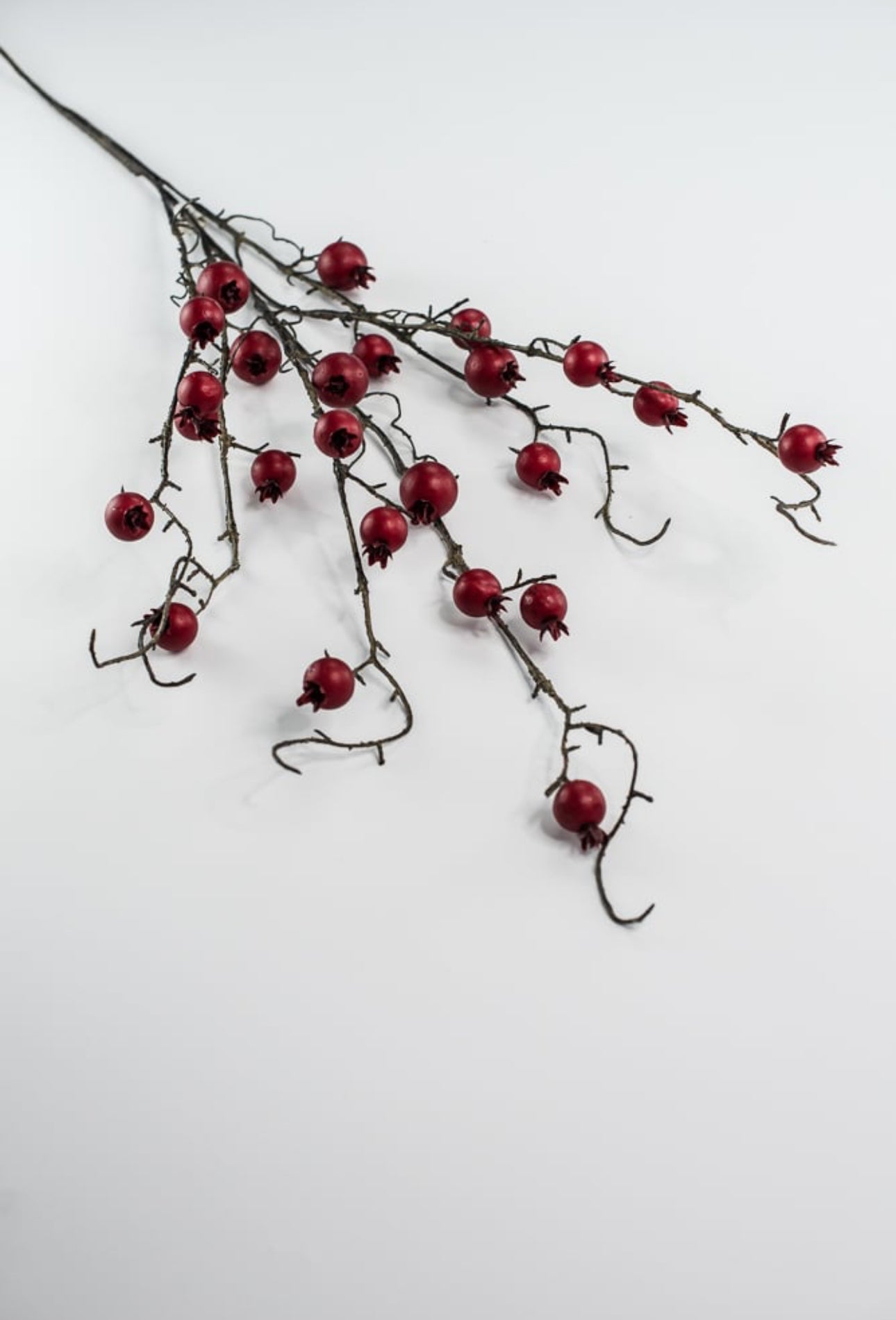 Red cherry berry and twigs spray - Greenery Market