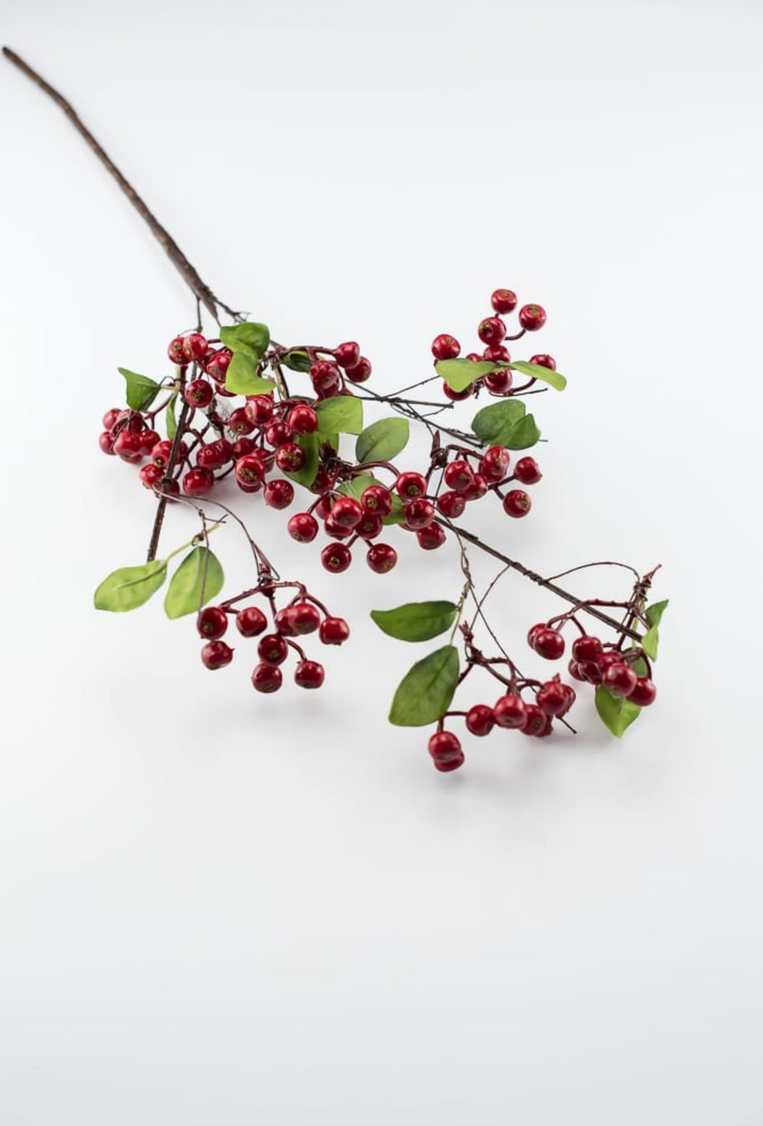 Red hawthorn berry spray - Greenery MarketXB350 - R