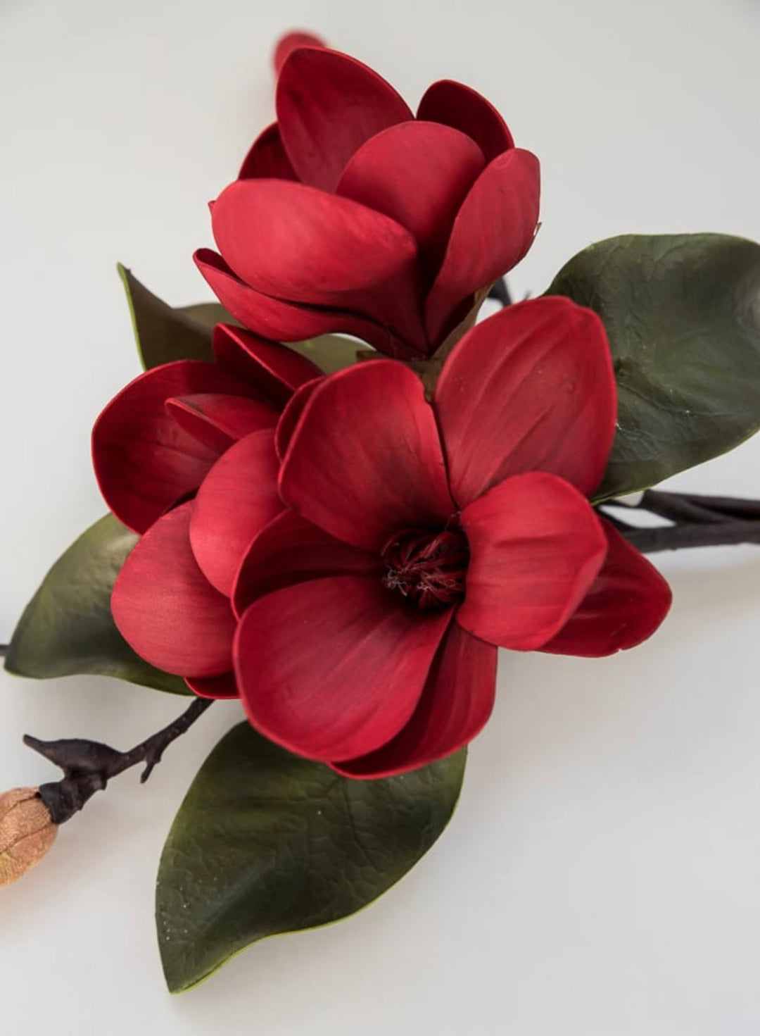 Red Magnolia flower bundle - Greenery Market2291031rd