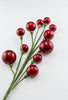 Red metallic ball spray - Greenery MarketSeasonal & Holiday Decorations159321