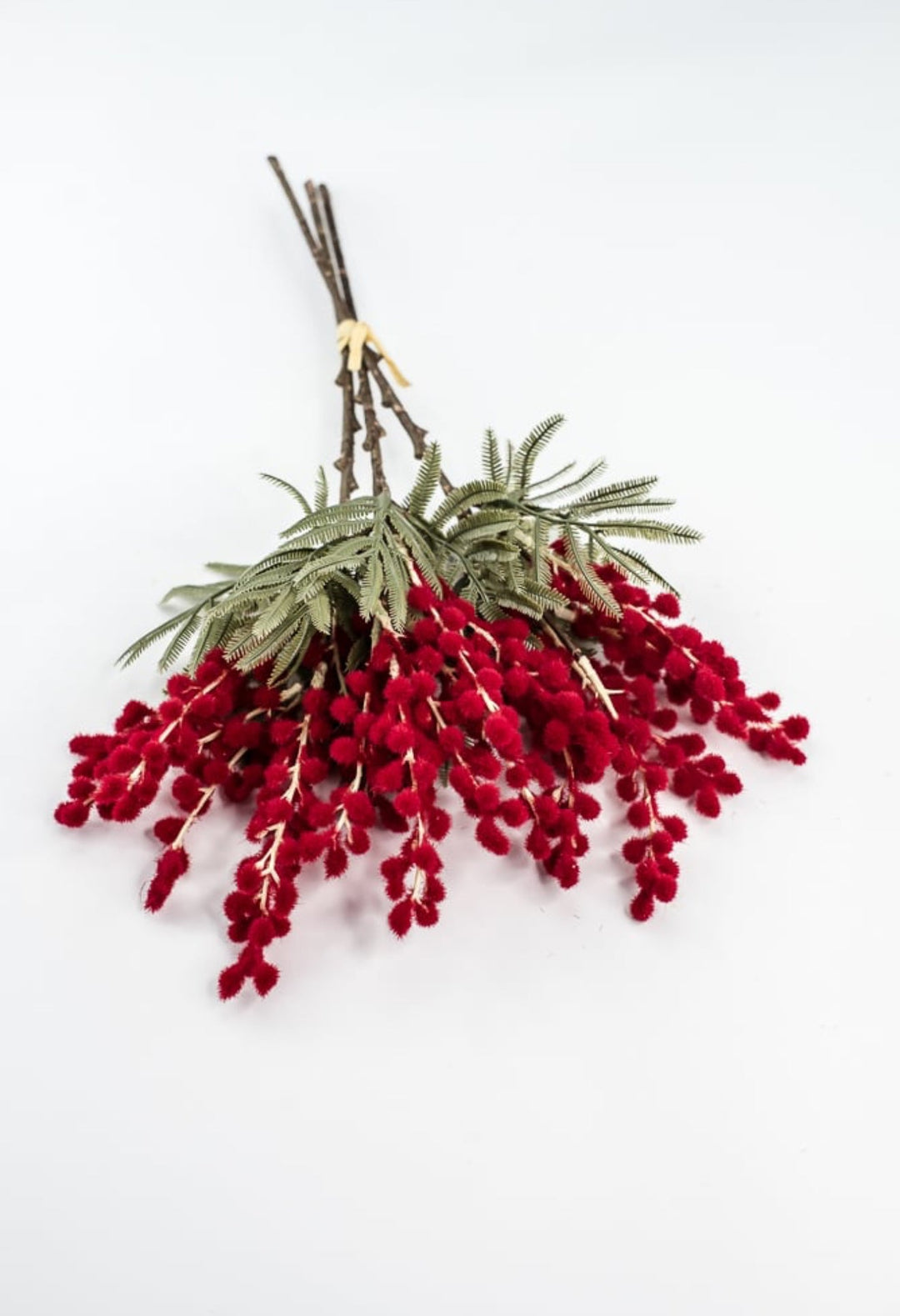 Red Mimosa Bundle - 15" - Greenery Market6470R