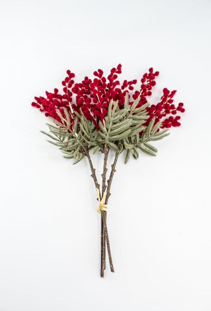 Red Mimosa Bundle - 15" - Greenery Market6470R