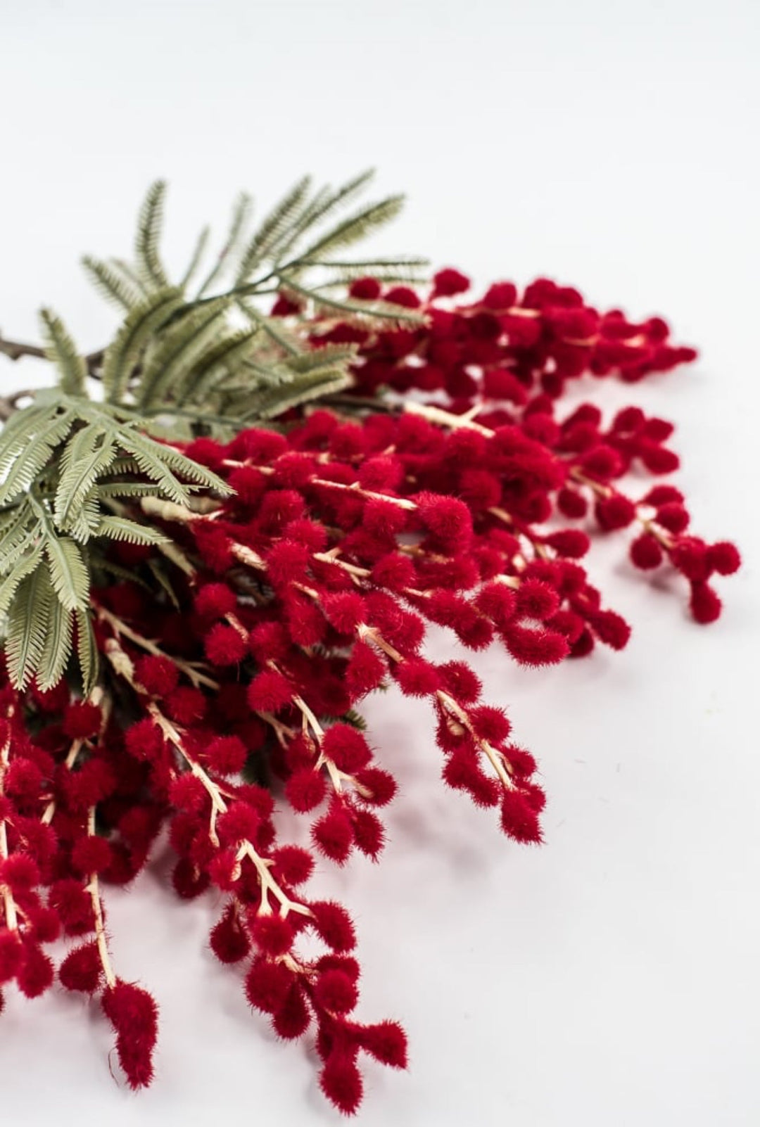 Red Mimosa Bundle - 15" - Greenery Market6470R