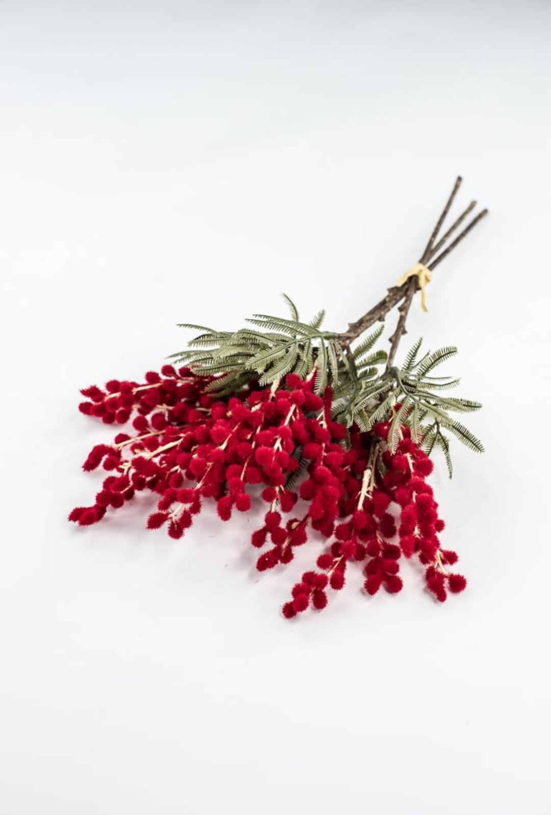 Red Mimosa Bundle - 15" - Greenery Market6470R